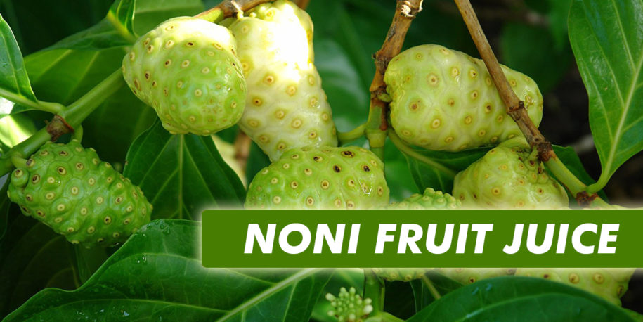 Noni Juice The Ayurvedic Health Supplement Dr Brahmanand Nayak