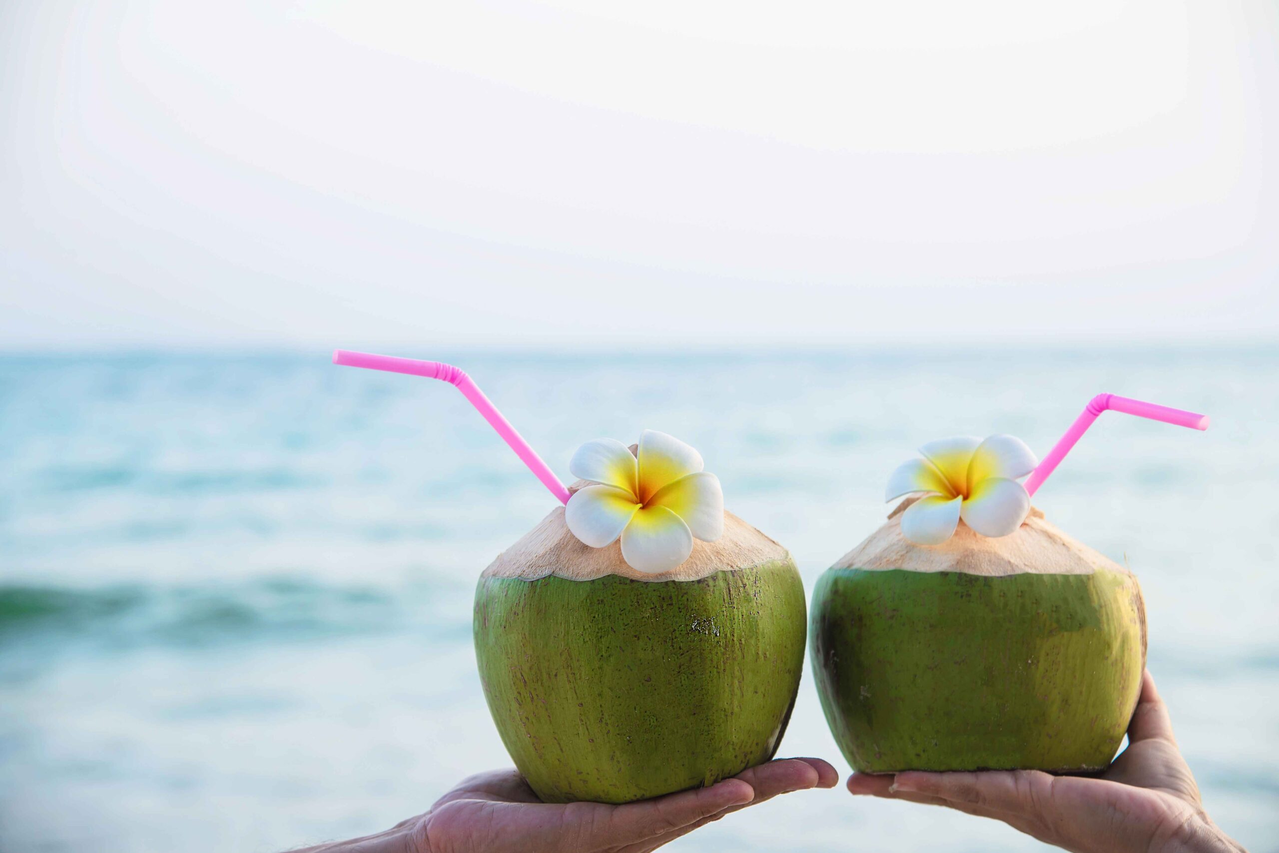 10 Delicious and Refreshing Coconut Water Recipes for Summer 2023 - Dr ...