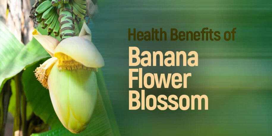 Unexpected Health Benefits Of Banana Blossom - Dr. Brahmanand Nayak