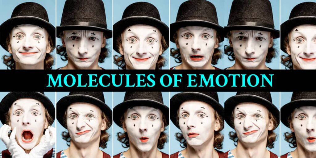 molecules-of-emotions-how-do-emotions-affect-your-health-dr