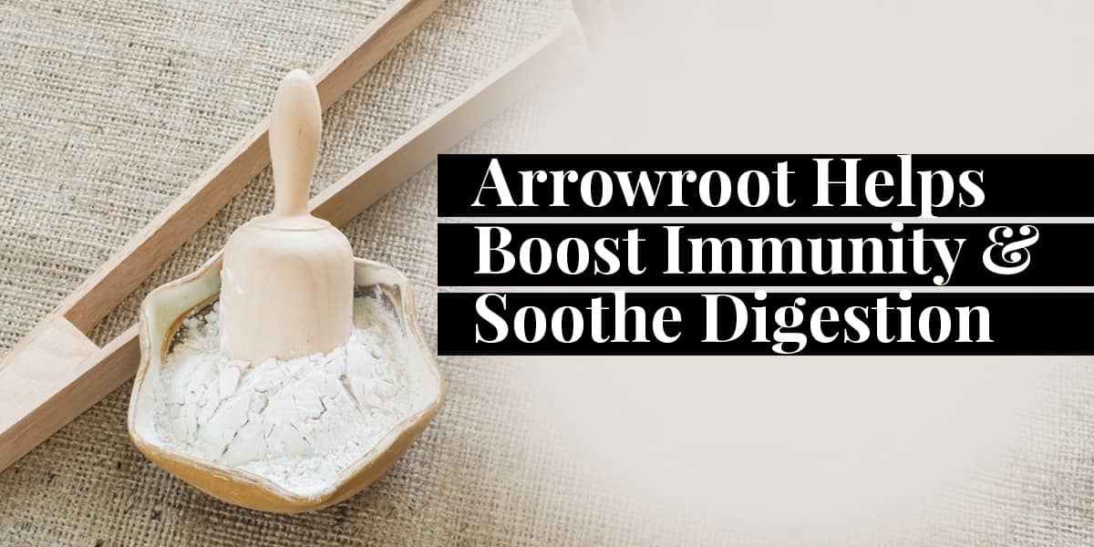 Arrowroot Soothes Digestion and Balances pH