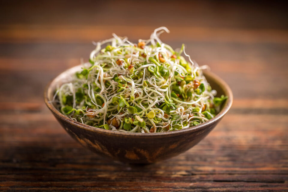 What does Ayurveda say about sprouts?