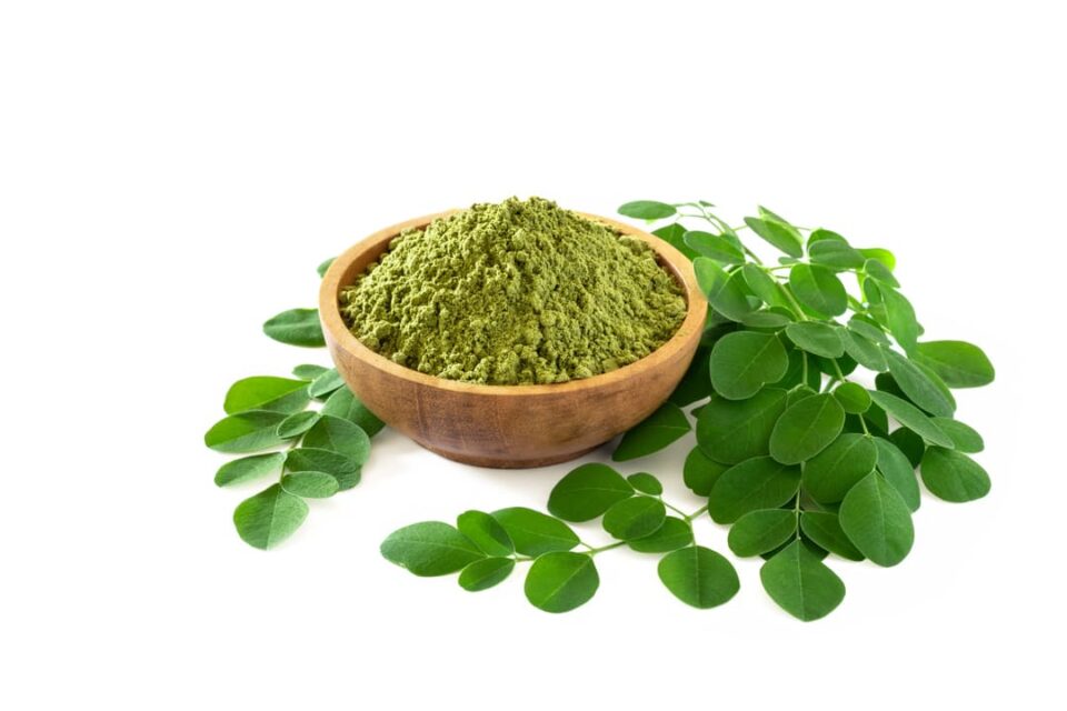 moringa health benefits