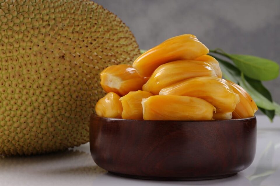 jackfruit health benefits -ayurvedic view