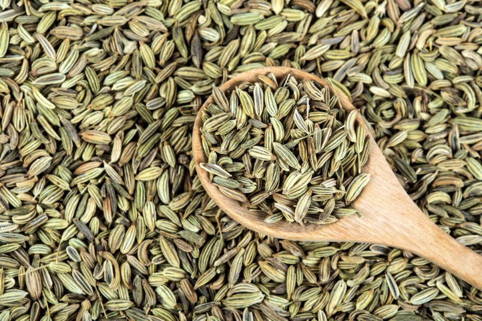 What was fennel used for in ancient times?